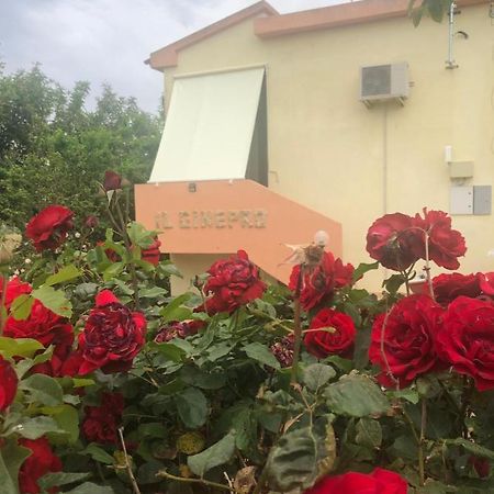 Ginepro Family Apartman Valledoria Kültér fotó